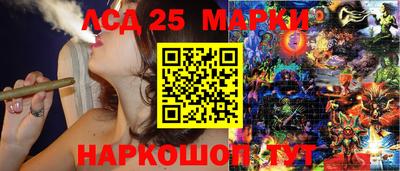 спиды Обь