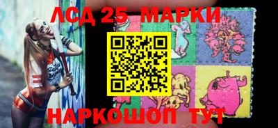 спиды Обь
