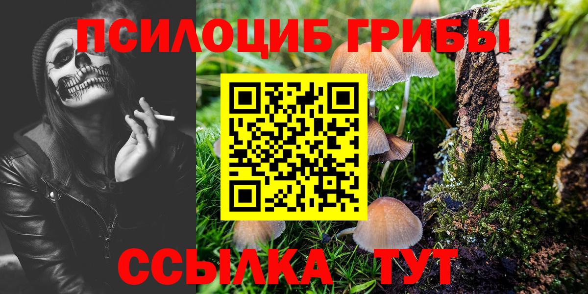 Псилоцибиновые грибы Psilocybe Уварово