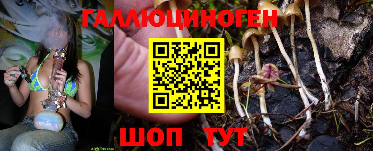 Псилоцибиновые грибы мухоморы  Псилоцибиновые грибы прущие грибы  Уварово  Вход с VPN 